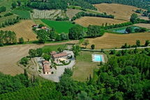 IL PAVONE