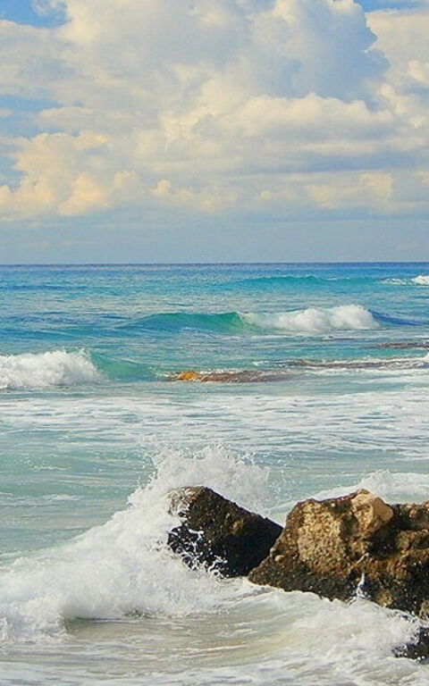 Tussen cultuur en geesten