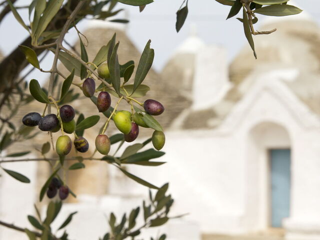 Traditionele gerechten en gerechten uit de regio Apulië.