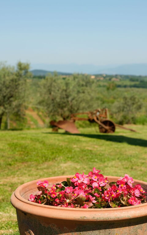 Pozzo Dei Desideri: Buitenkanten, Buitenshuis, Keer bekeken, Tuin