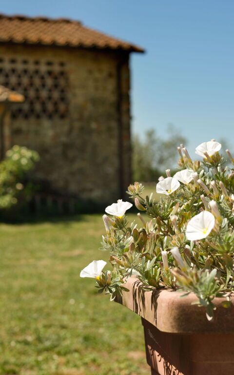 Pozzo Dei Desideri: Buitenkanten, Buitenshuis, Tuin