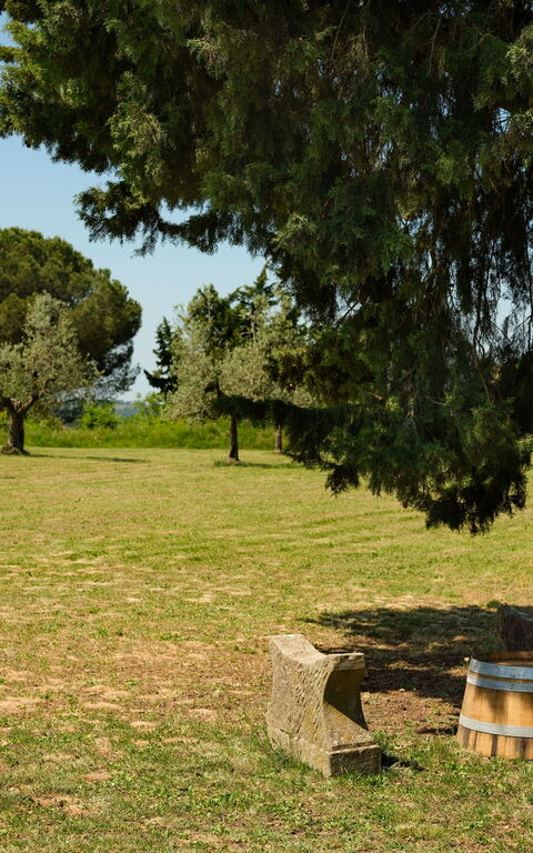 Pozzo Dei Desideri: Buitenkanten, Buitenshuis, Tuin