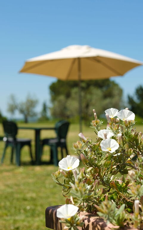 Pozzo Dei Desideri: Buitenkanten, Buitenshuis, Tuin