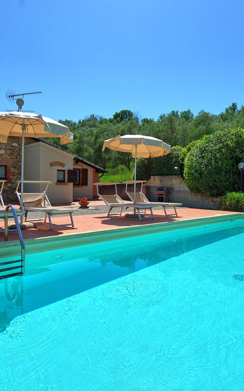 Cuccardino: Buitenshuis, zwembad