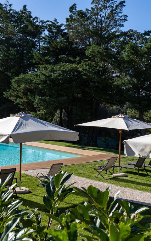 Villa Simone: Buitenshuis, Tuin, zwembad