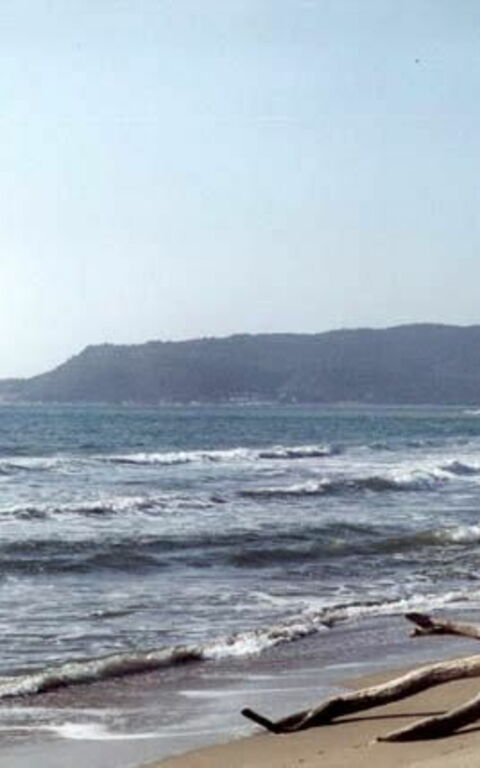 Presidio: Keer bekeken