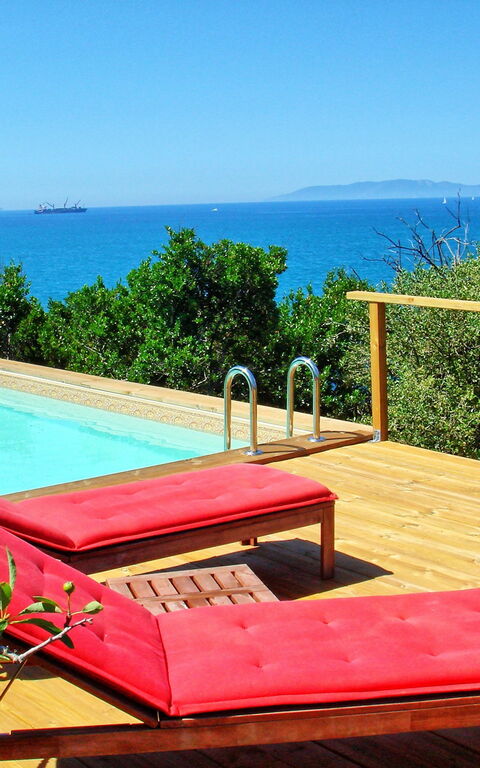 Presidio: Tuin, zwembad