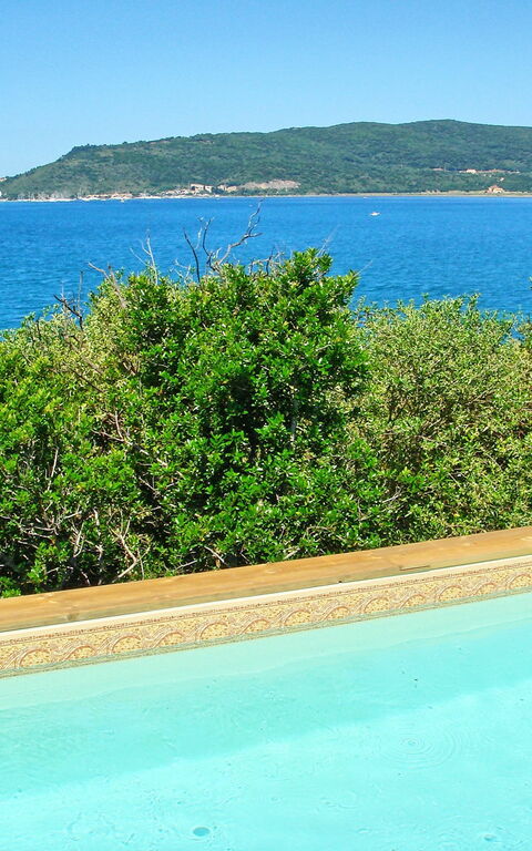 Presidio: Tuin, zwembad