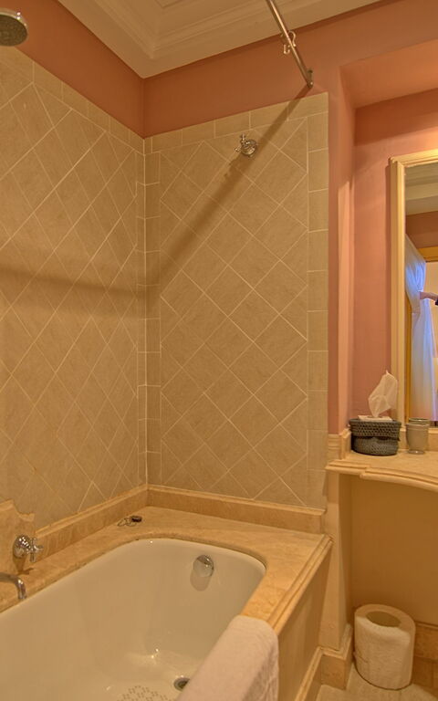 Castello Leopoldo: Badkamer