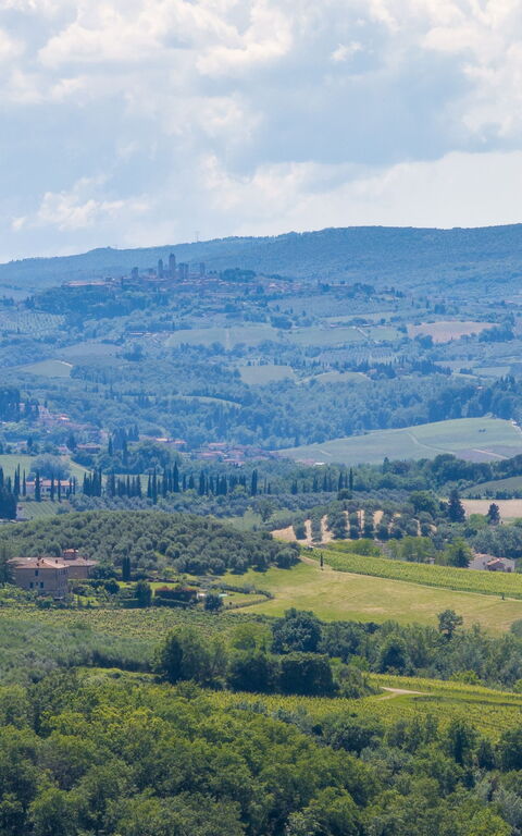 Villa Orchidea: Keer bekeken