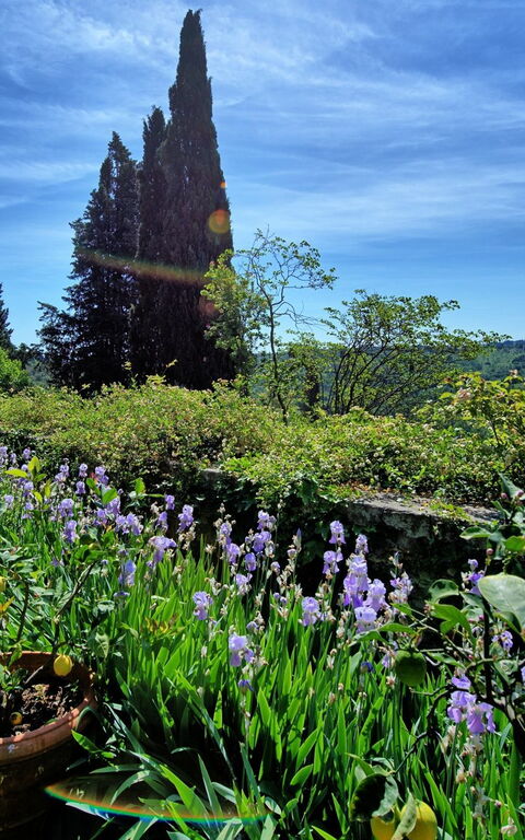 Montegufoni: Keer bekeken, Tuin