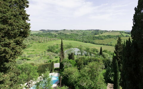 Accommodatie Montegufoni 30: Keer bekeken