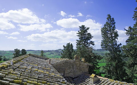 Accommodatie Torre: Keer bekeken