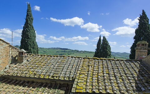 Accommodatie Torre: Keer bekeken