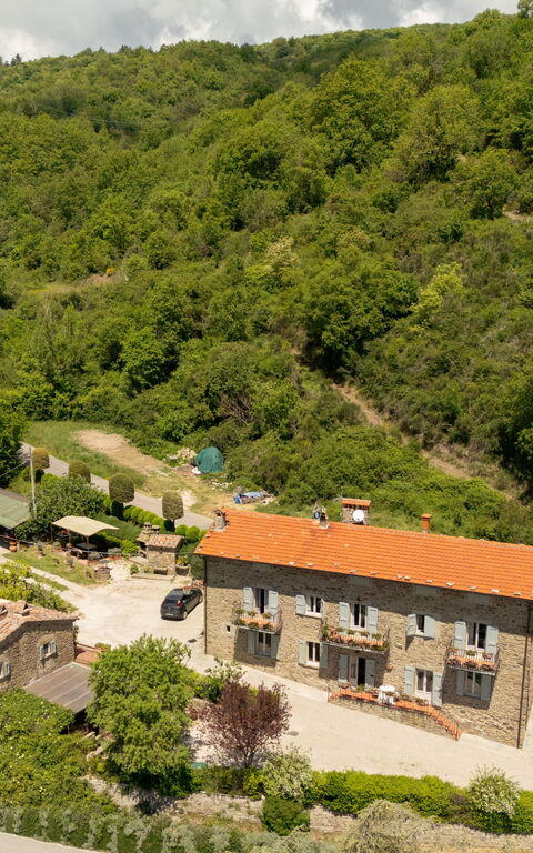 Casa Ivan: Tuin