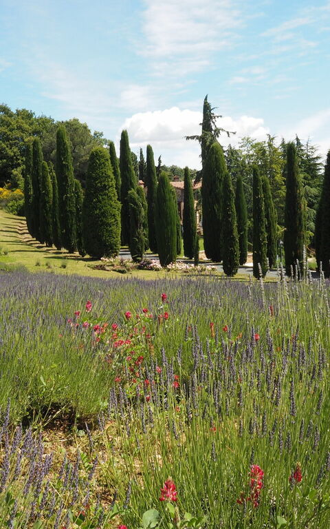 Cornocchio: Keer bekeken