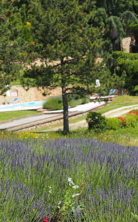 Cornocchio: Keer bekeken