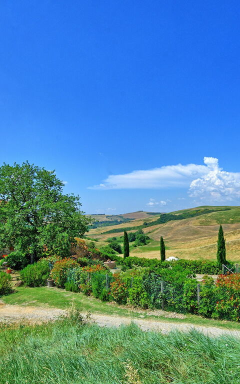 Castelmuzio: Buitenshuis, Keer bekeken