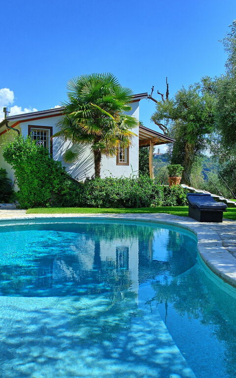 Villa Oliveta: Zomer, zwembad