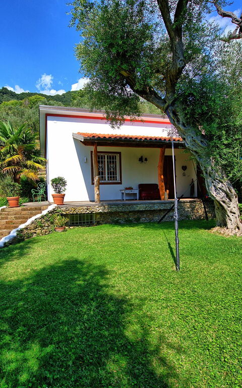 Villa Oliveta: Buitenshuis, Tuin