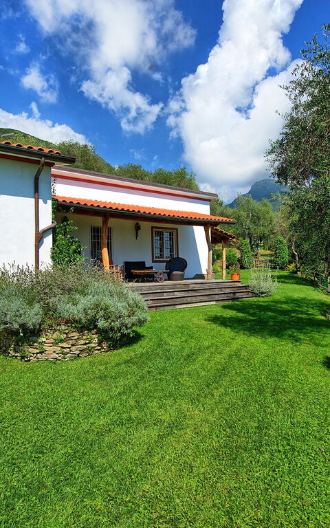 Villa Oliveta: Buitenshuis, Tuin