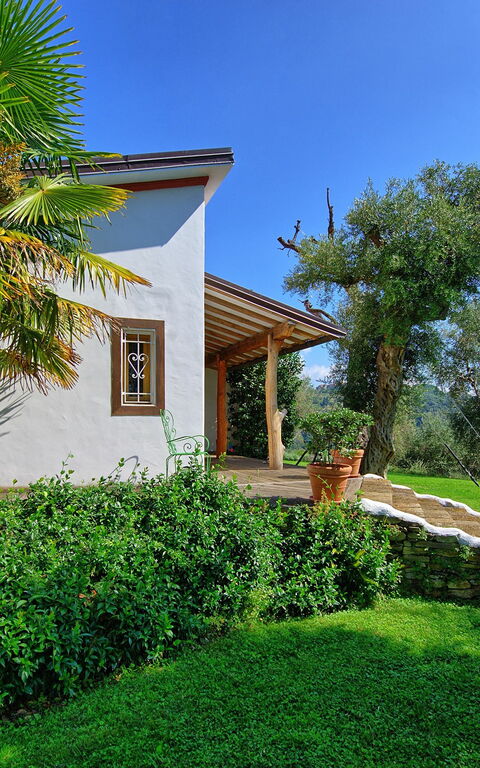 Villa Oliveta: Buitenshuis, Tuin