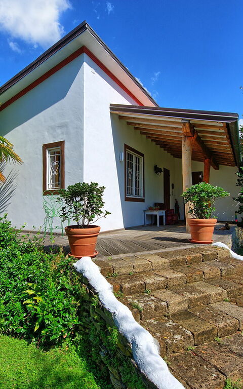 Villa Oliveta: Buitenshuis, Tuin