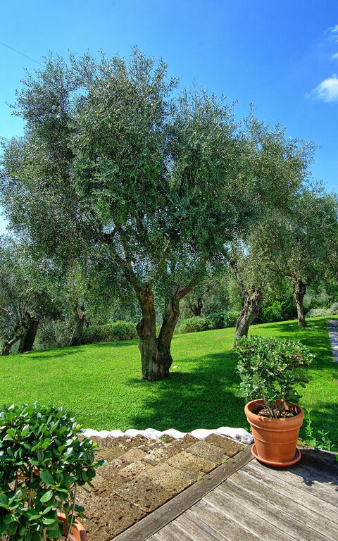 Villa Oliveta: Keer bekeken, zwembad