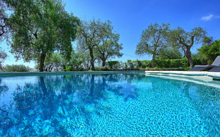 Villa Oliveta: Keer bekeken, Zomer, zwembad