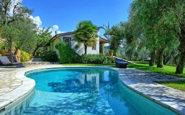 Villa Oliveta: Zomer, zwembad