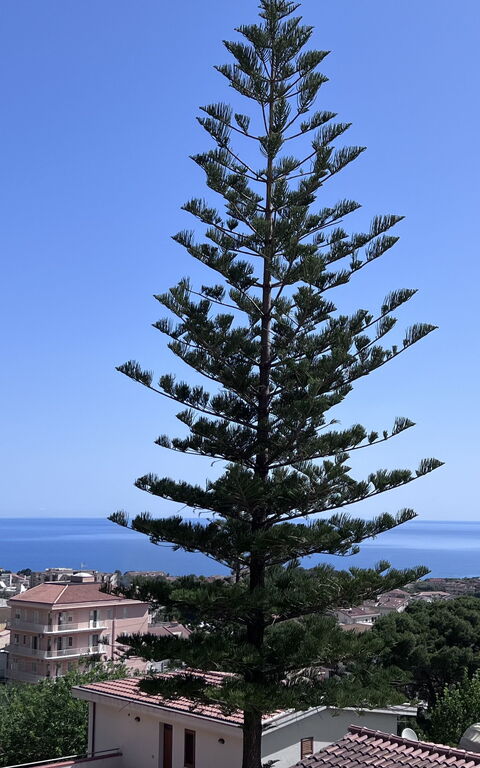 Castellammare: Keer bekeken