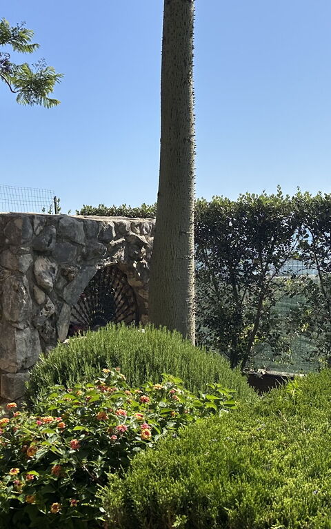 Castellammare: Buitenkanten, Tuin