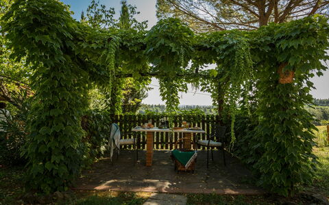 Accommodatie Montelopio 8: Buitenshuis, Tuin