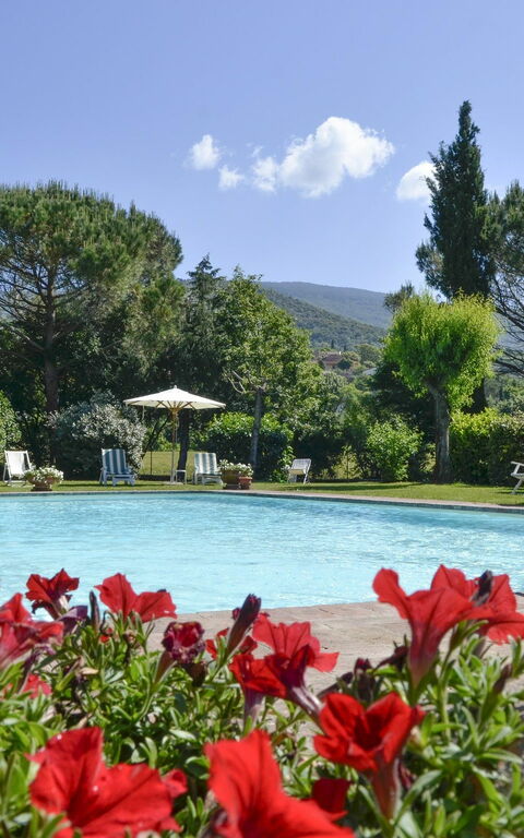 San Pietro: Tuin, zwembad