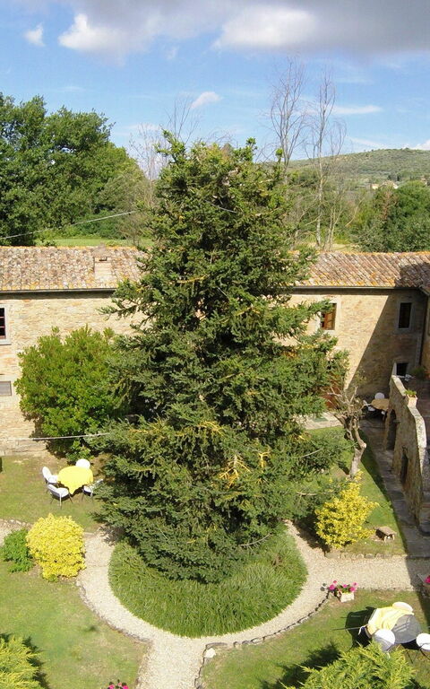 San Pietro: Buitenshuis, Keer bekeken