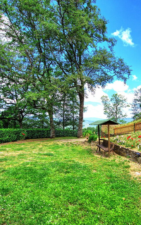 Villa Margherita: Tuin