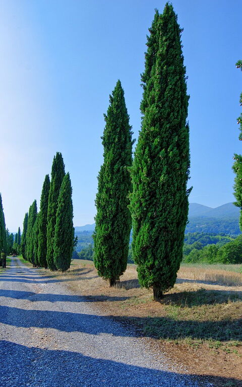 Casale Giulio: Keer bekeken