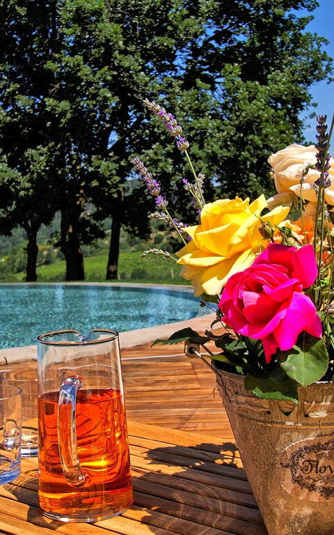 Villa Petrognano: Buitenshuis, Keer bekeken, zwembad