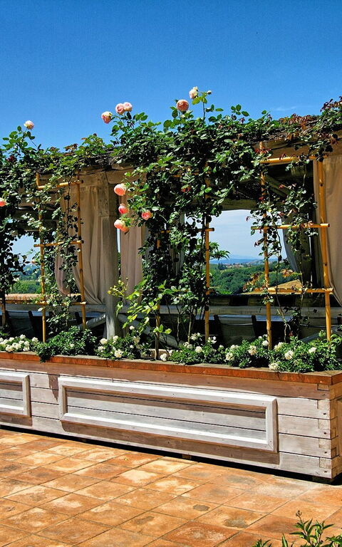 Villa Petrognano: Buitenshuis, Keer bekeken, zwembad