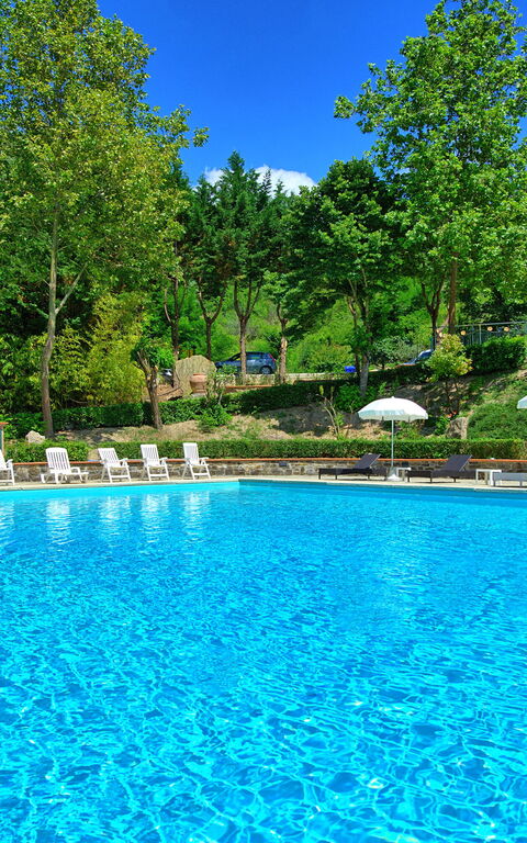 Villa Contessa: zwembad