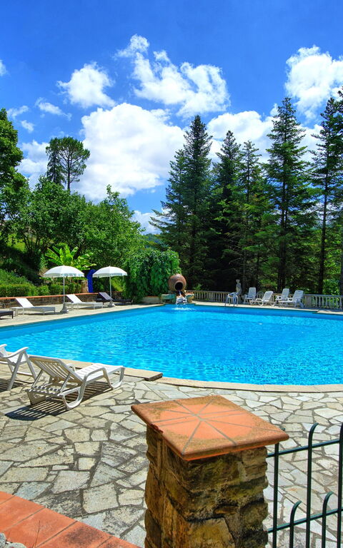 Villa Contessa: zwembad