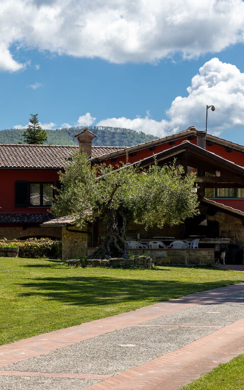 Villa Contessa: Buitenkanten, Buitenshuis, Tuin