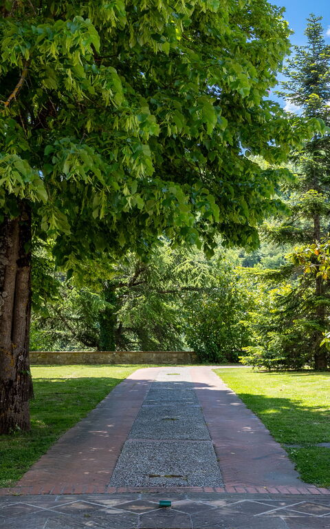 Villa Contessa: Buitenshuis, Tuin