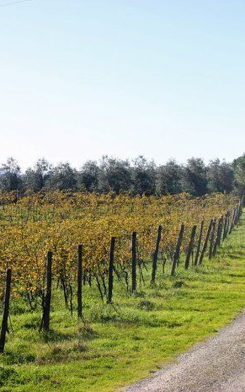 La Selva: Keer bekeken