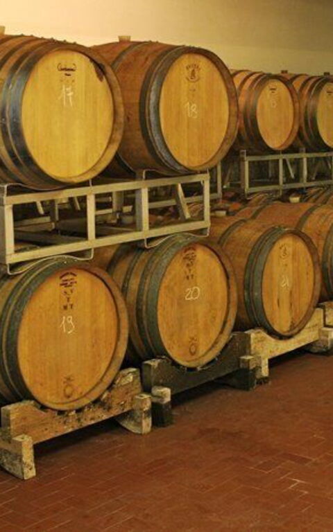 La Selva: Voorzieningen