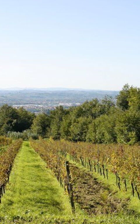 La Selva: Keer bekeken