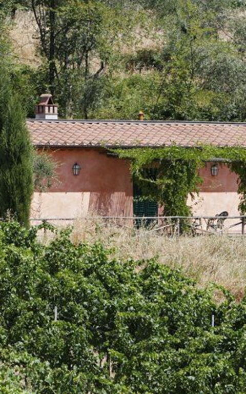 La Selva: Buitenshuis, Tuin