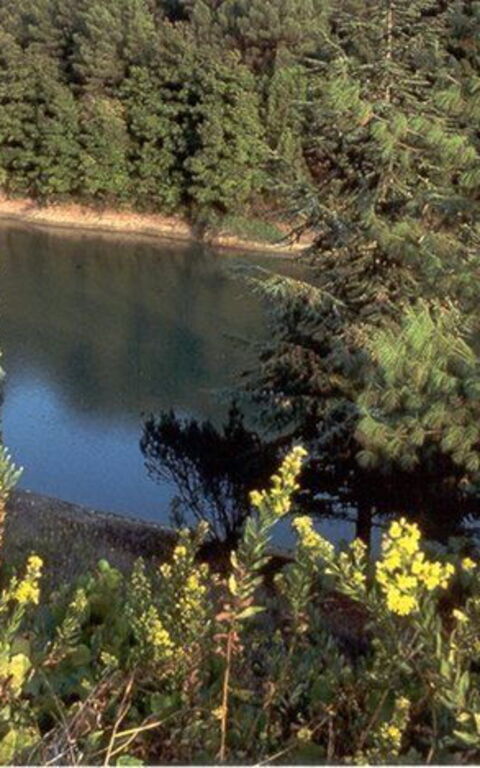 La Selva: Keer bekeken