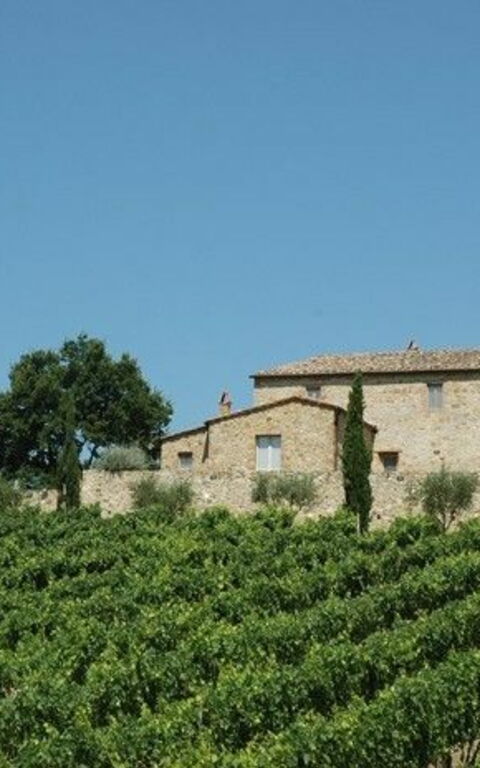 Brunello: Keer bekeken