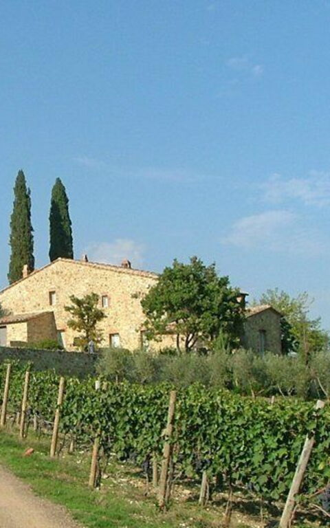 Brunello: Keer bekeken